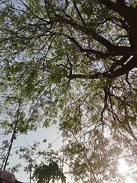 Rs sonam online show from 05-27-26, 01:57