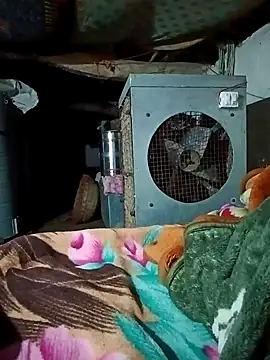 Lona2525 online show from 02-16-26, 08:38