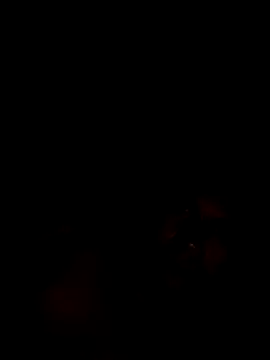 Dari 30 online show from 09-27-25, 05:23