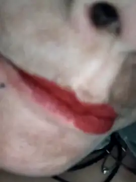 Na shreya online show from 02-01-26, 03:21