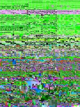 itsthecatchh online show from 11-08-25, 08:51