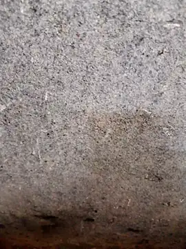 Snapshot of nagepalli chatting on 11-14-25, 03:49 nagepalli online show from 11-14-25, 03:49