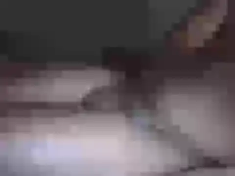 Snapshot of Hhhggghrrr3219 chatting on 03-17-26, 07:17 Hhhggghrrr3219 online show from 03-17-26, 07:17