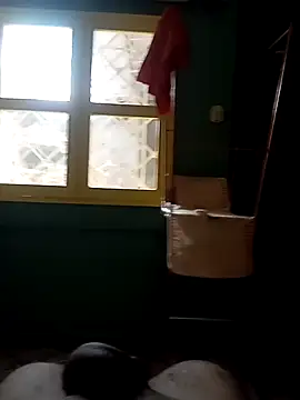 Roberto27052 online show from 10-29-25, 03:47