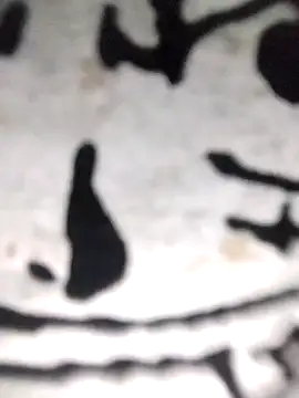 PEEHU-50 online show from 11-21-25, 12:10