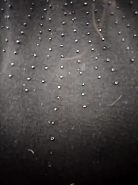 PEEHU-50 online show from 03-26-26, 02:17