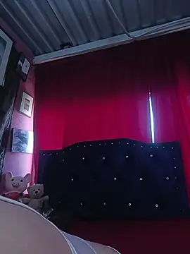 Snapshot of lizethavila chatting on 03-02-26, 08:59 lizethavila online show from 03-02-26, 08:59