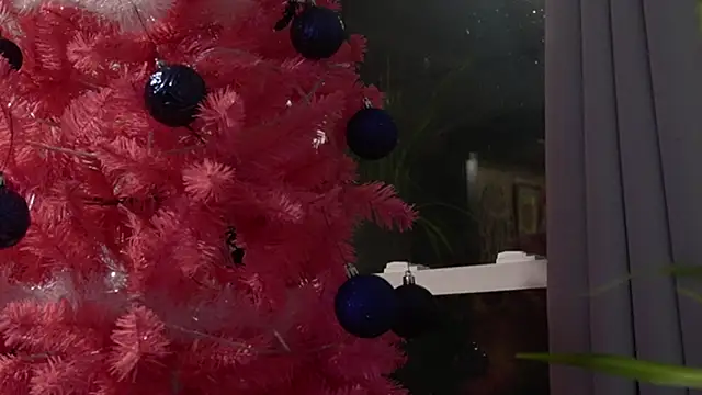 Snapshot of Vox_Personas chatting on 12-18-25, 06:41 Vox Personas online show from 12-18-25, 06:41