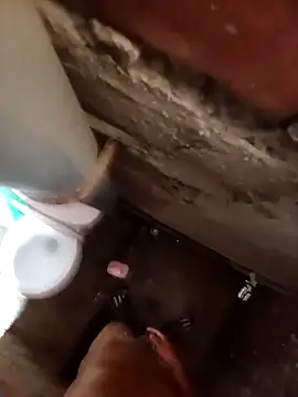 Alex321Flores online show from 12-15-25, 03:49