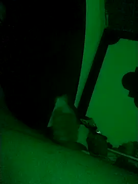 Buddha289 online show from 02-22-26, 09:41