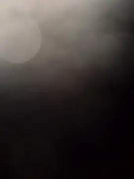 Payarkanasa online show from 11-28-25, 09:45