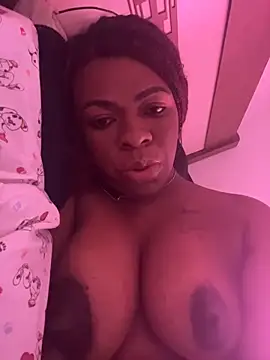 Priihmedeiros online show from 03-16-26, 03:05