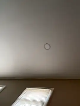 murphdolla online show from 11-29-25, 02:42