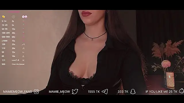 Snapshot of Mamiemeow chatting on 02-06-25, 11:43 Mamiemeow online show from 02-06-25, 11:43