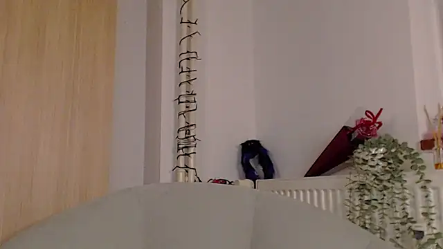 adacgrey online show from 02-20-26, 04:29