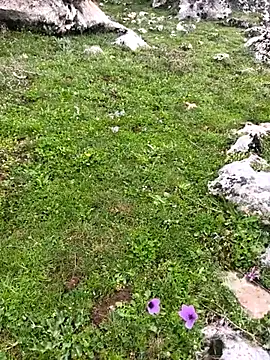 Sert erkek21 ysm online show from 03-23-26, 10:19