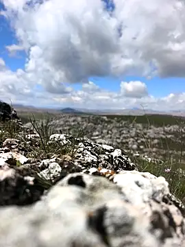 Sert erkek21 ysm online show from 03-31-26, 09:21