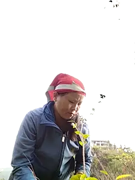 sumaybae online show from 10-28-25, 01:09