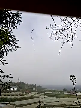 miomio-12 online show from 11-07-25, 01:38