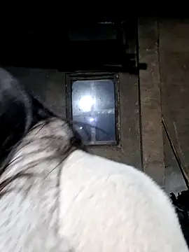 Snapshot of miomio-12 chatting on 02-27-26, 12:49 miomio-12 online show from 02-27-26, 12:49