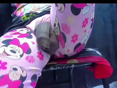 dirtybig cock22 online show from 11-22-25, 02:27