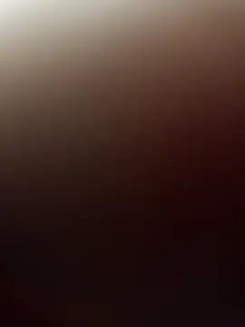 pn12345 online show from 11-18-25, 05:34