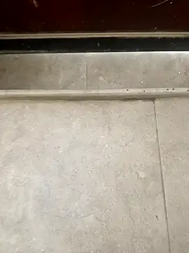 pn12345 online show from 12-01-25, 05:12