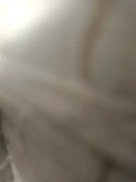 pn12345 online show from 12-04-25, 04:11