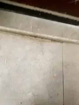 pn12345 online show from 12-05-25, 04:10