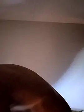 Snapshot of felipelon07 chatting on 11-28-25, 05:10 felipelon07 online show from 11-28-25, 05:10