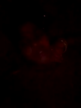 Snapshot of Tg_sonam chatting on 10-23-25, 04:17 Tg sonam online show from 10-23-25, 04:17