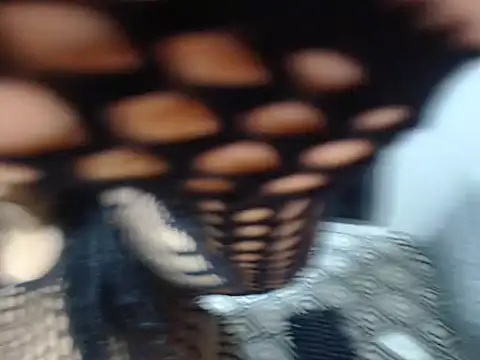 ChubbySpider online show from 10-08-25, 04:48