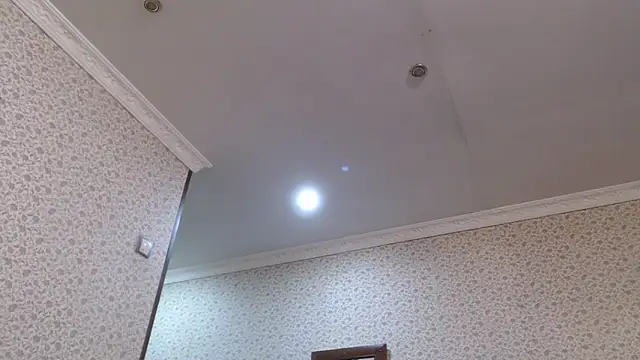 maybe doll online show from 10-23-25, 09:46