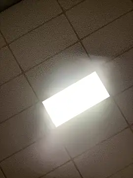 lexuslover687 online show from 04-17-26, 07:11