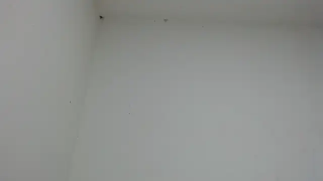 Snapshot of drako_monster chatting on 01-17-26, 10:46 drako monster online show from 01-17-26, 10:46