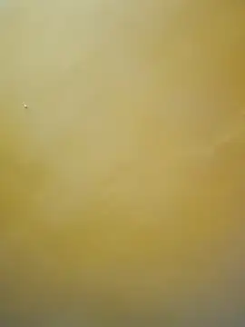 Snapshot of tamil-mala23 chatting on 10-18-25, 11:44 tamil-mala23 online show from 10-18-25, 11:44