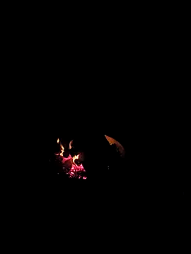 Floridaboy863 online show from 02-05-26, 03:33