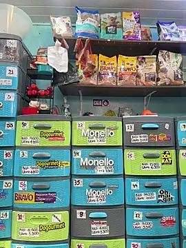 Lucy 699 online show from 02-25-26, 06:28