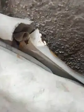 blackhot30 online show from 10-12-25, 07:13