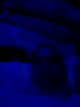 sexdol2 online show from 03-22-26, 09:13