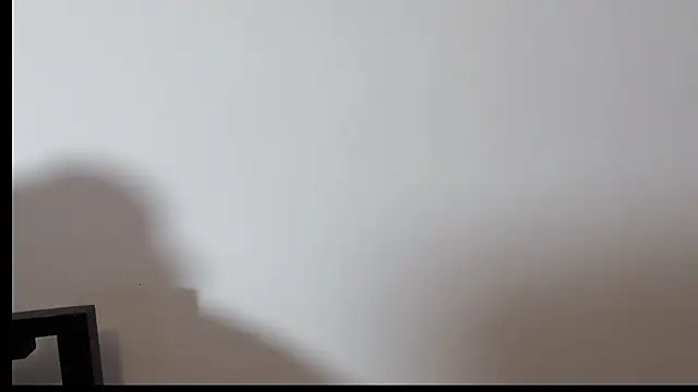 Snapshot of zhenzhen666 chatting on 11-17-25, 09:37 zhenzhen666 online show from 11-17-25, 09:37