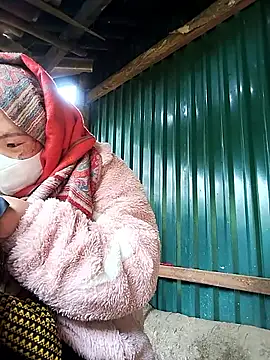 xixibabi online show from 12-17-25, 03:56