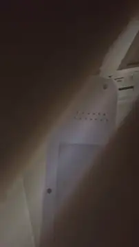 bunnydam online show from 11-06-25, 02:40