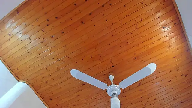 denisse khan online show from 10-17-25, 11:46