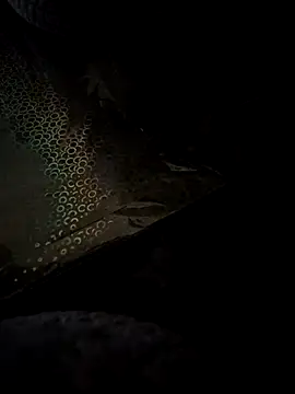 crawlerdrill online show from 05-24-26, 09:14
