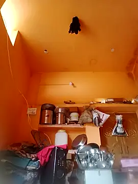 Abhilasha hot34 online show from 12-21-25, 04:30