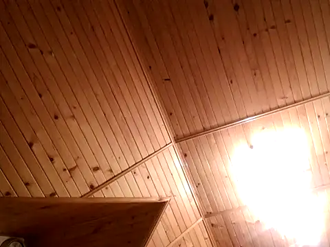 Snapshot of tibci12789 chatting on 12-05-25, 07:54 tibci12789 online show from 12-05-25, 07:54