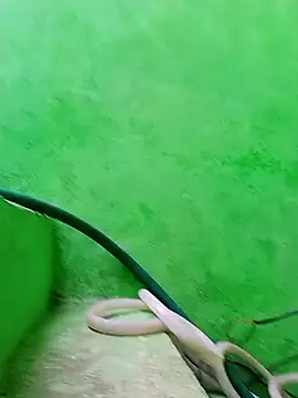 Snapshot of Karishma_cute chatting on 11-29-25, 04:48 Karishma cute online show from 11-29-25, 04:48