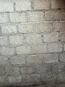 siusiu-00 online show from 02-19-26, 09:16