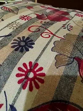 Snapshot of svk_05 chatting on 10-18-25, 12:17 svk 05 online show from 10-18-25, 12:17